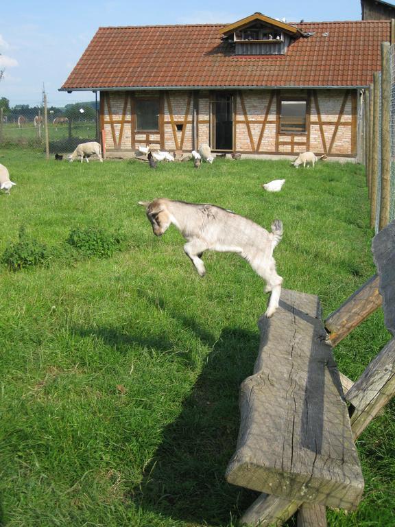 Ferienhof Roesch Bad Wurzach Exterior foto